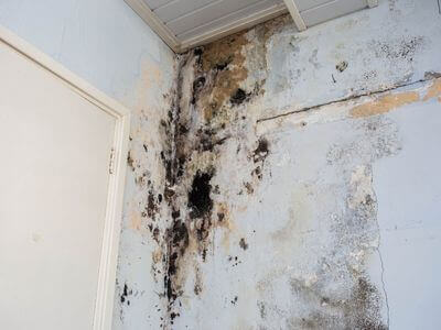 About KCC Water Damage Specialists - water damage restoration experts in Mississauga